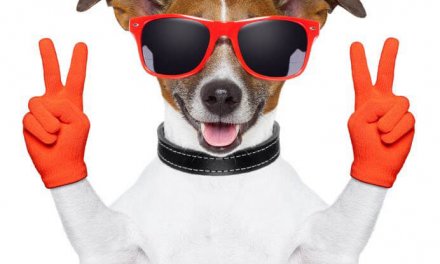 Advertise Your Book on a Low Budget Using Technology by Clinton Loomis