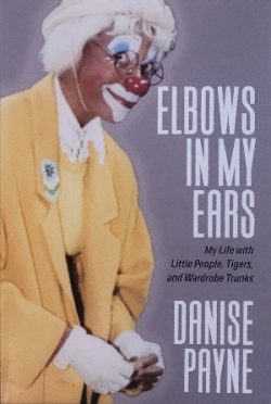 Elbows in My Ears by Danise Payne