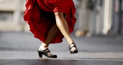 flamenco