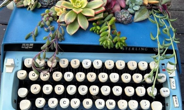 How to Handle Negative Book Reviews on Amazon (And Find Gratitude for the Trolls!)