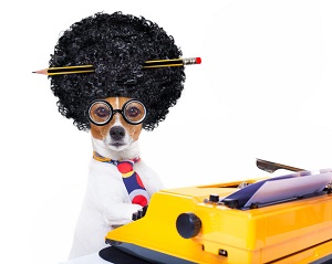 How to Make Sure Your Book Marketing Copy Passes the B.S. Test by Casey Demchak