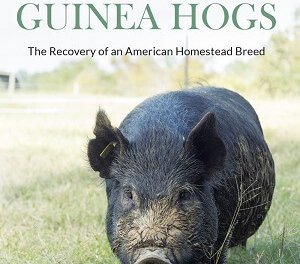 Member of the Week: Cathy R. Payne, author of Saving the Guinea Hogs: The Recovery of an American Homestead Breed
